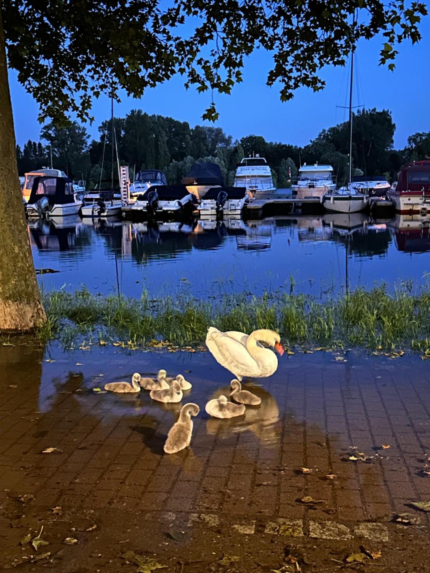 Willa Hafenperle Wiesbaden Zewnętrze zdjęcie